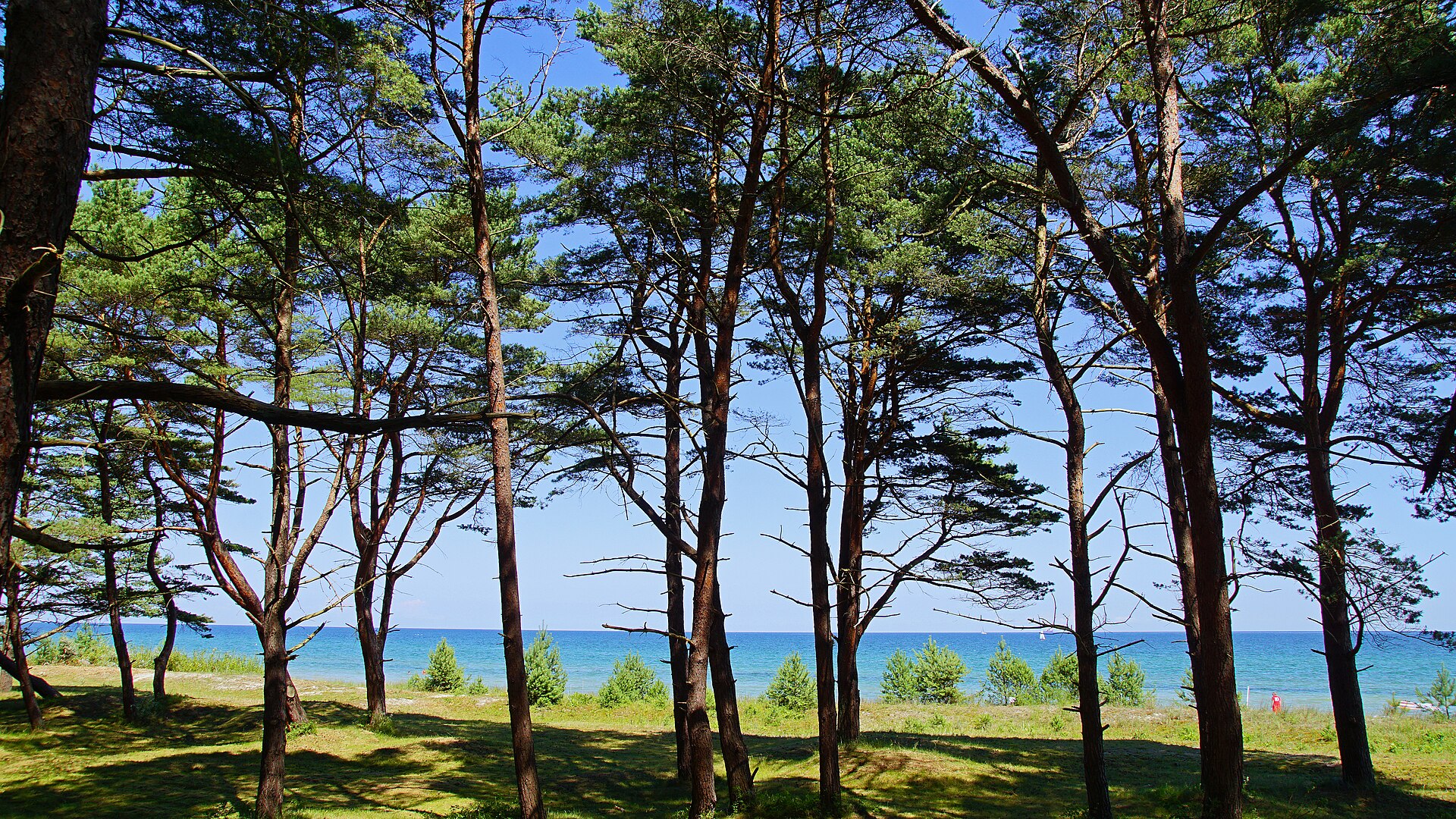 Sfeerbeeld van Rügen